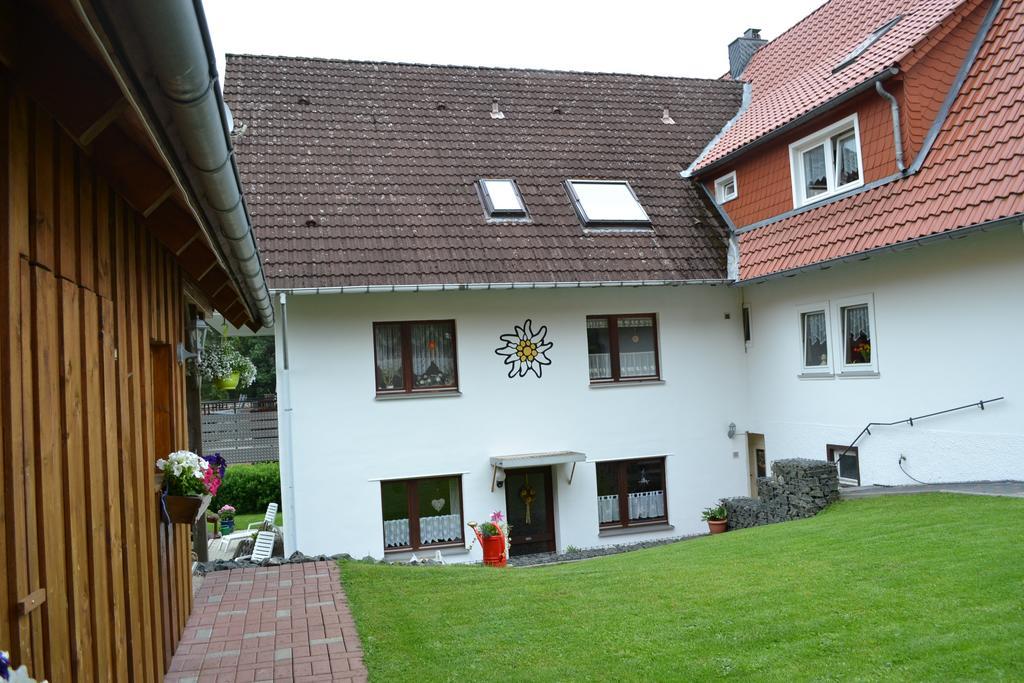 Edelweiss Διαμέρισμα Schulenberg im Oberharz Εξωτερικό φωτογραφία